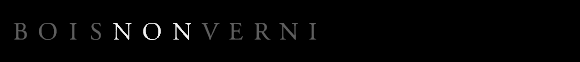 BOISNONVERNI